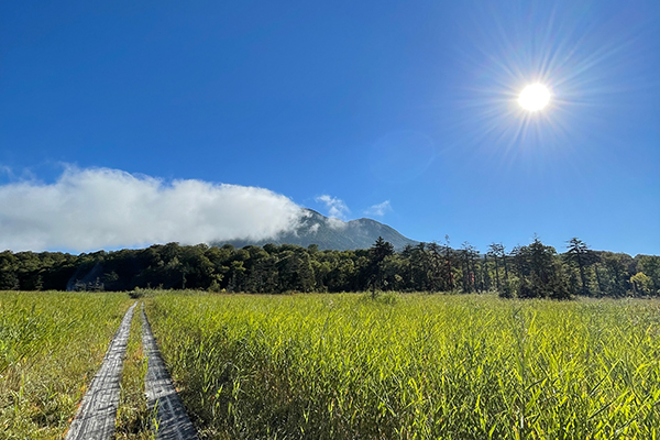 ハリウ登山部